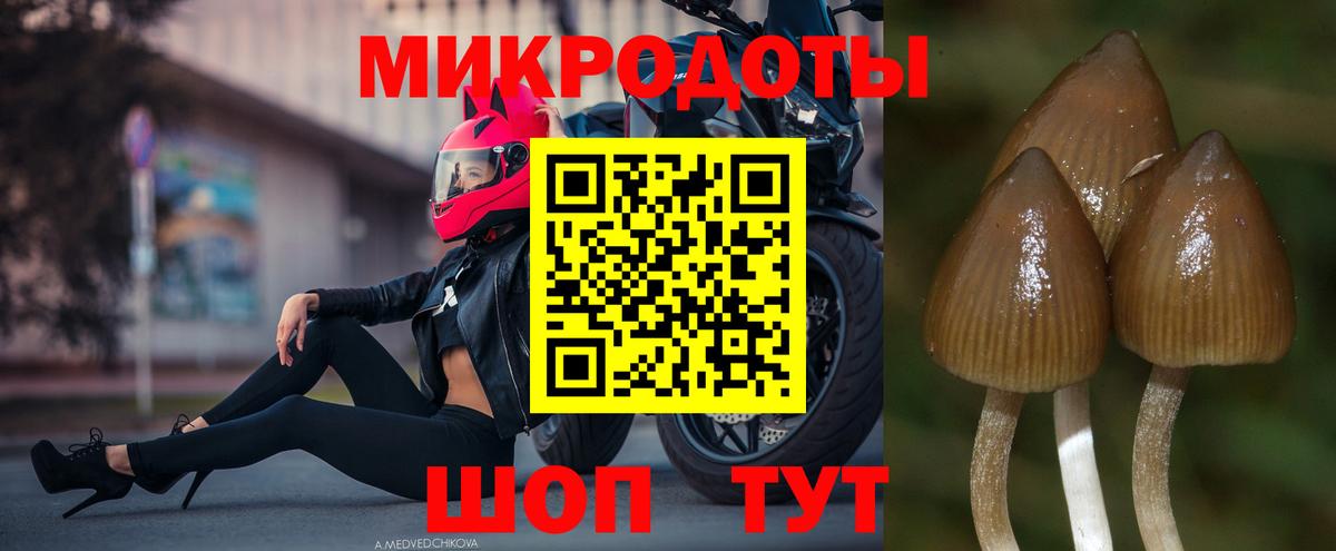 Псилоцибиновые грибы MAGIC MUSHROOMS  Вход с VPN  Мурино 