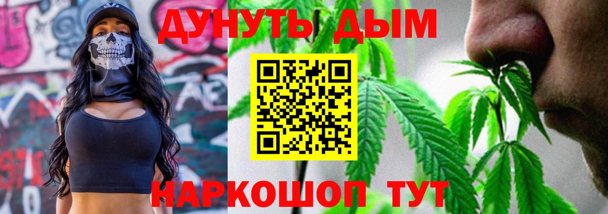 Марихуана сатива  Каннабис конопля  Бошки Шишки конопля  Вход с VPN  Мурино 